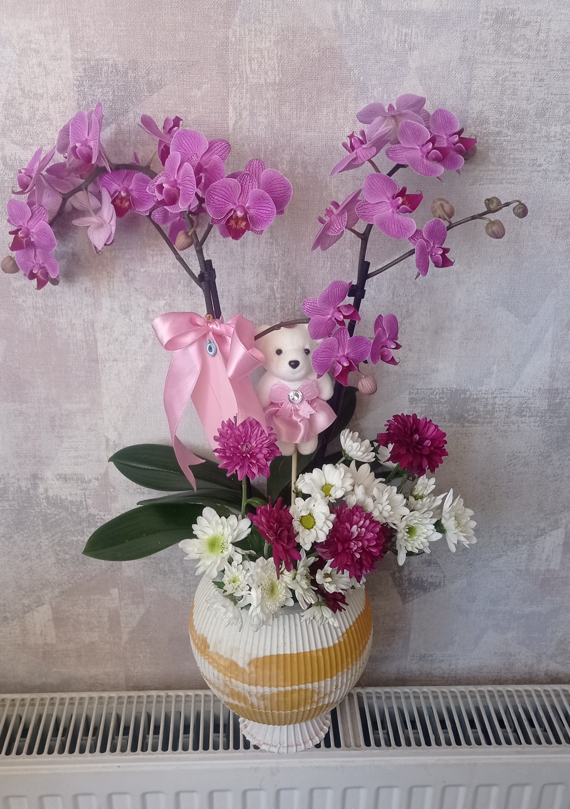 Çift Dal Midi Orkide