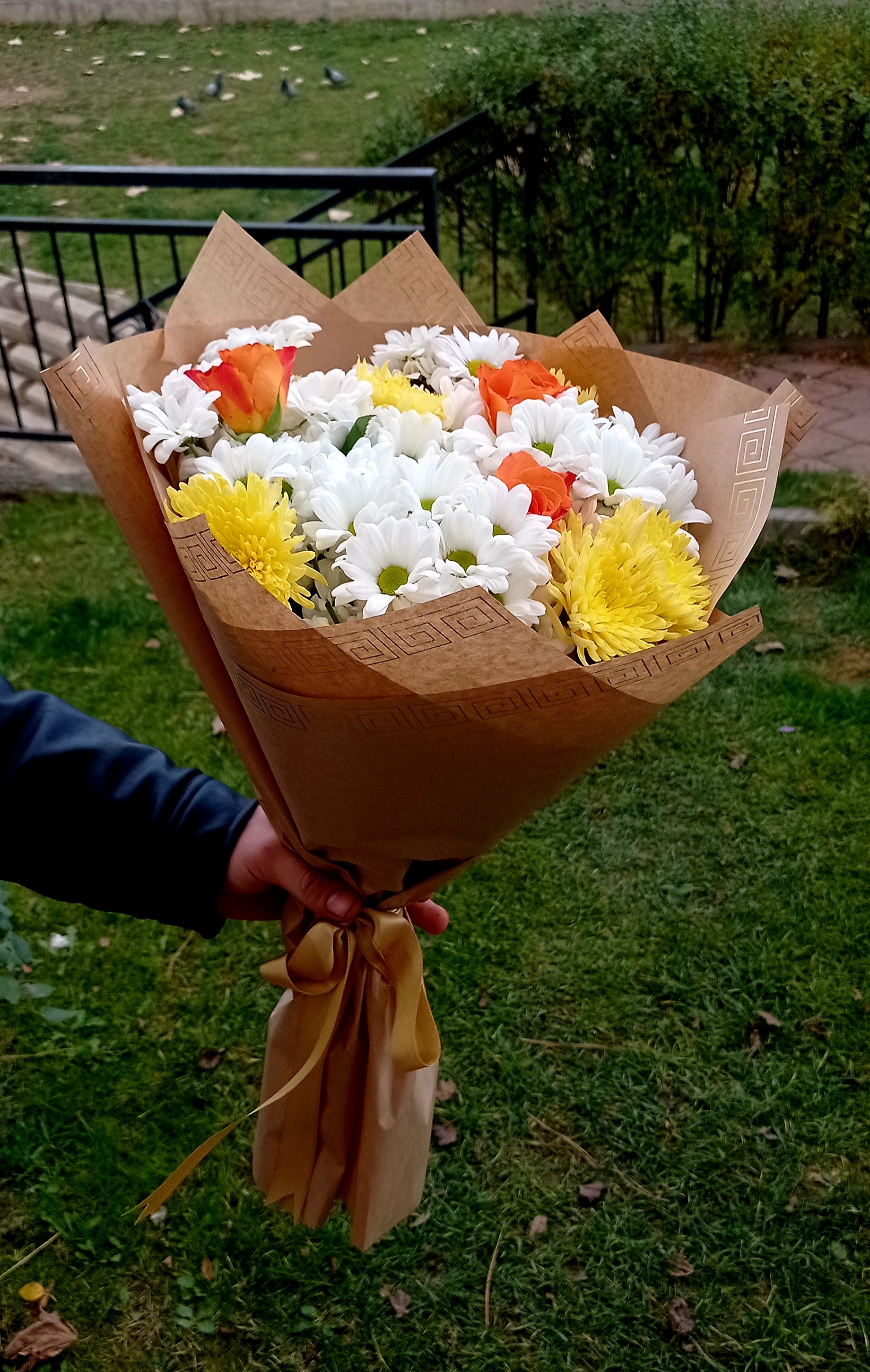 Papatya ışıltısı