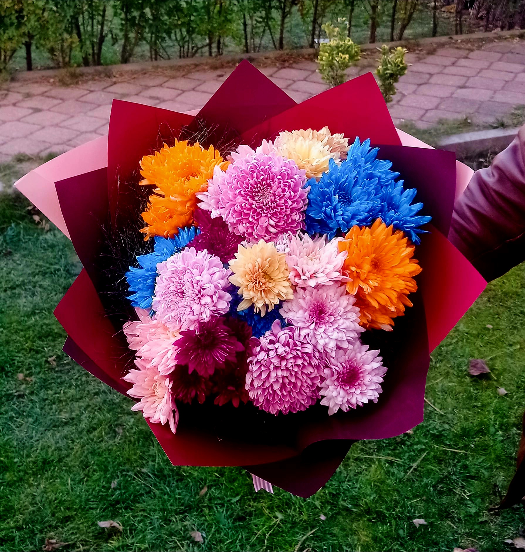 Rengarenk kasımpatı 