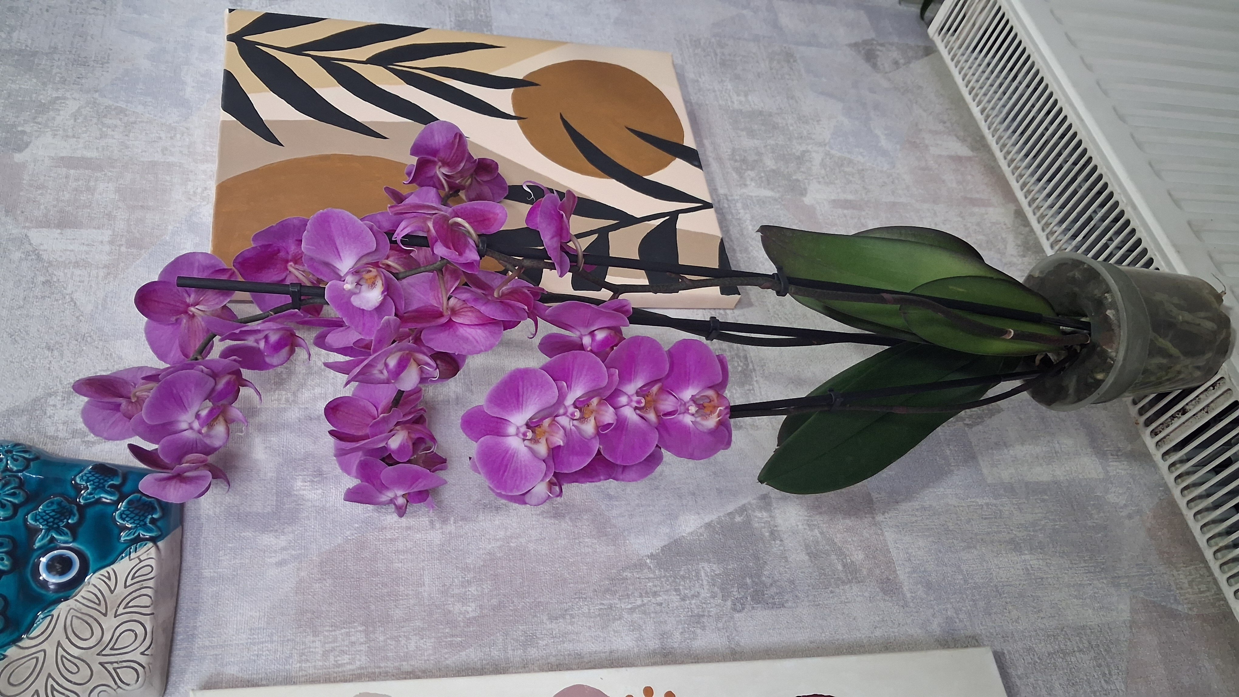 Üç Dal Pembe Orkide 