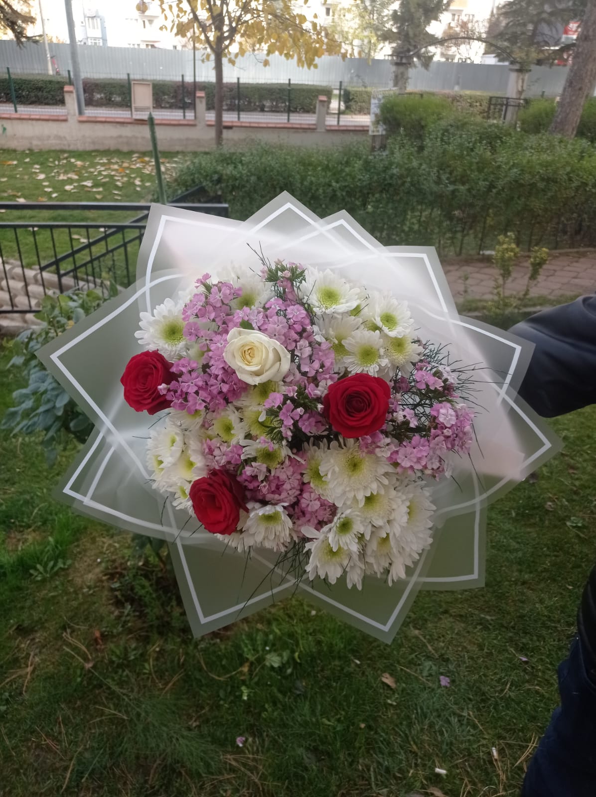 Güller ve Renkler - Görsel 2