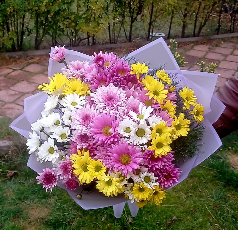 Rengarenk  - Görsel 2