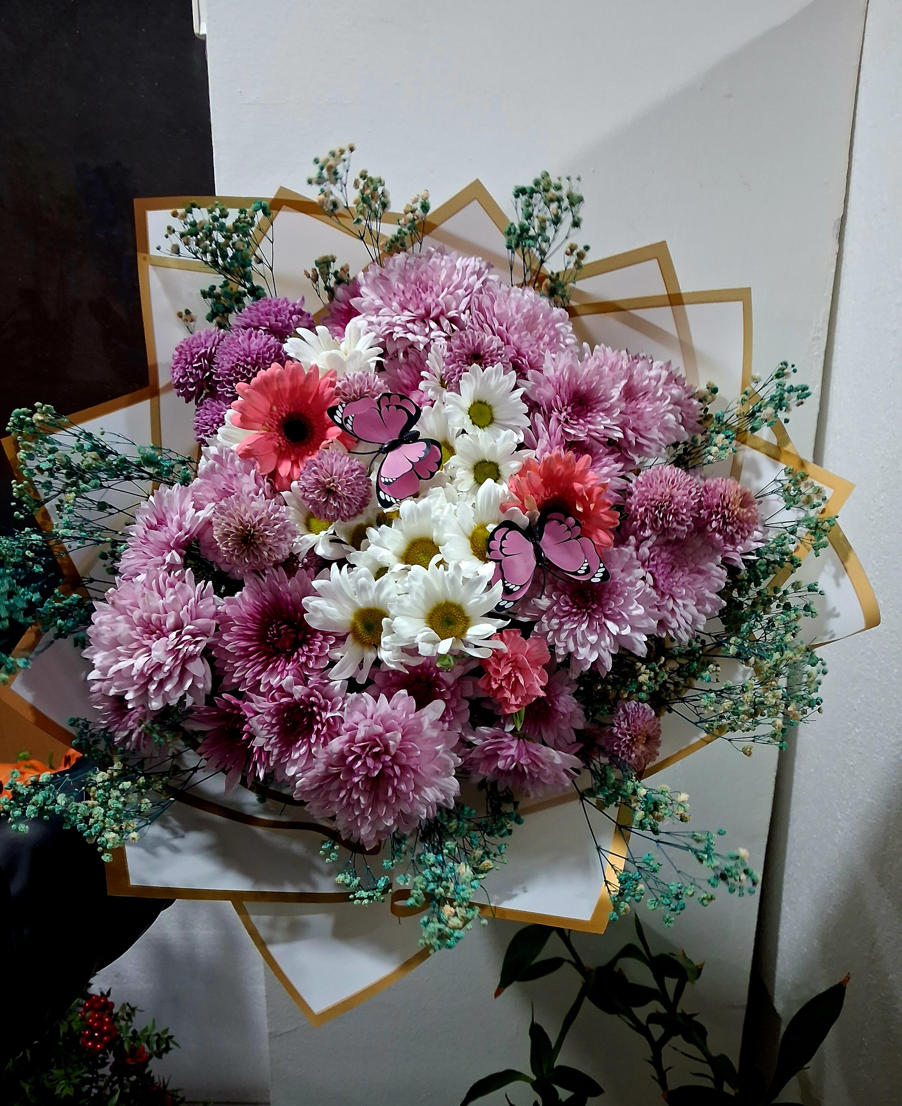 Karma kasımpatı - Görsel 3