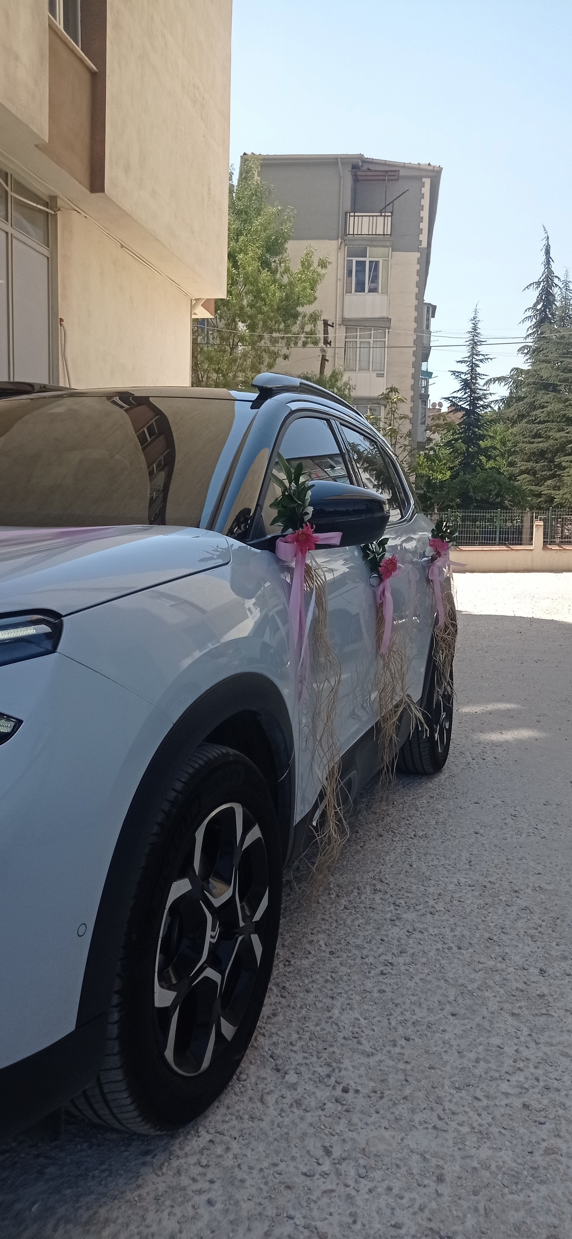 Gelin Arabası Tasarımı - Görsel 2