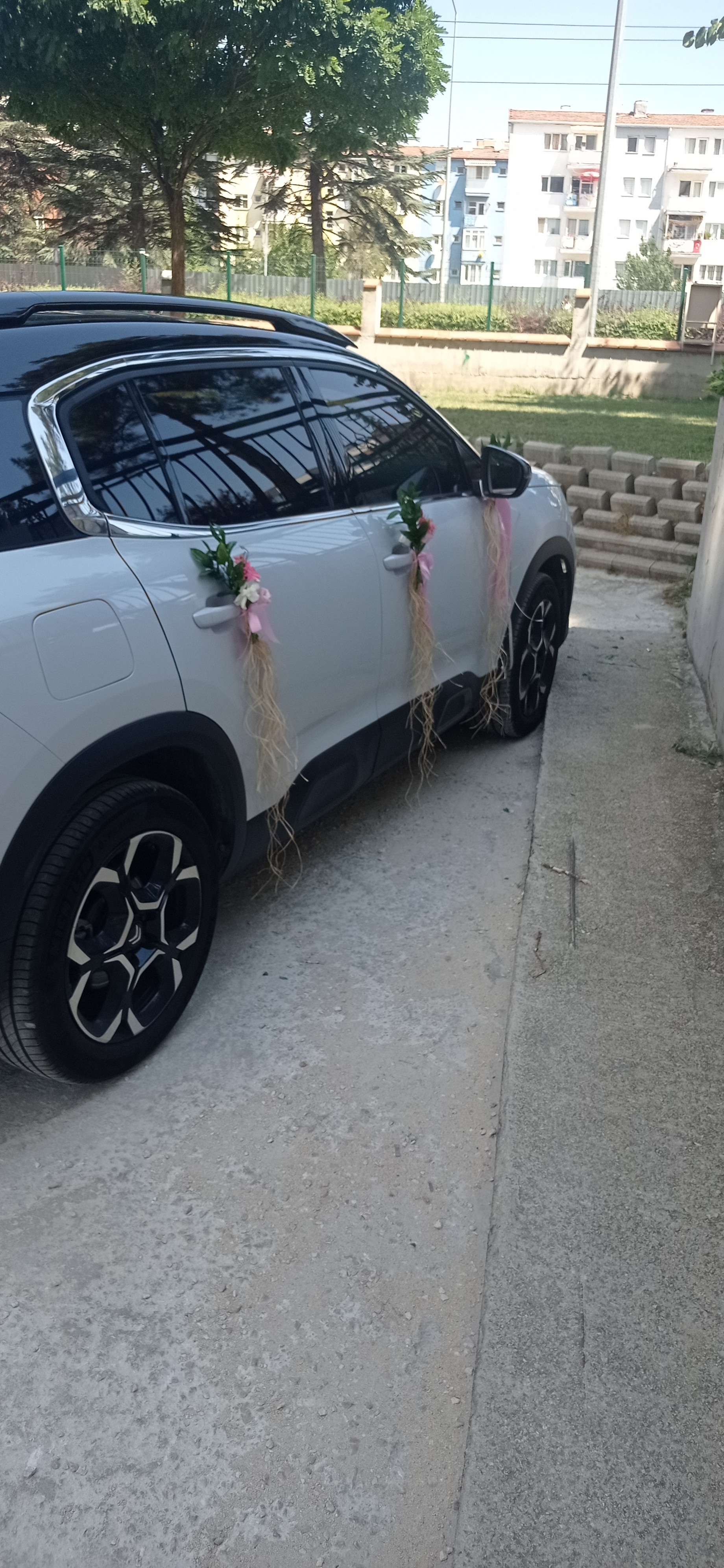 Gelin Arabası Tasarımı - Görsel 3