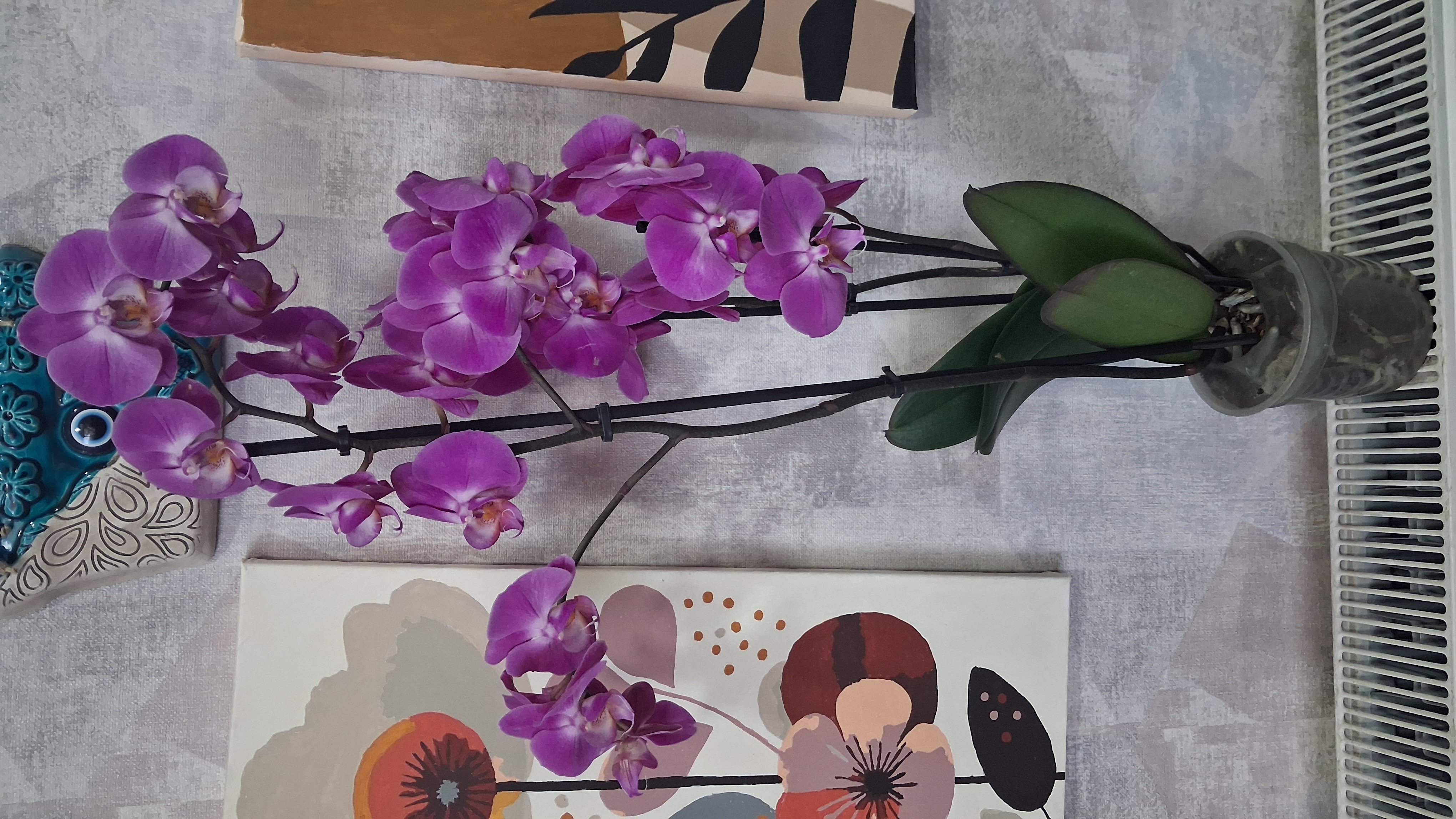 Üç Dal Pembe Orkide  - Görsel 2