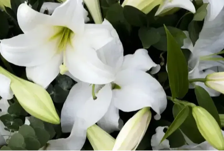 Altınbaş Çiçekevi