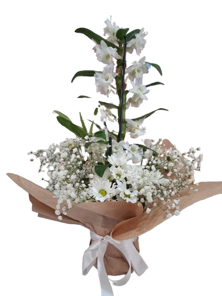 Düğün, Açılış, Yeni iş, Geçmiş Olsun