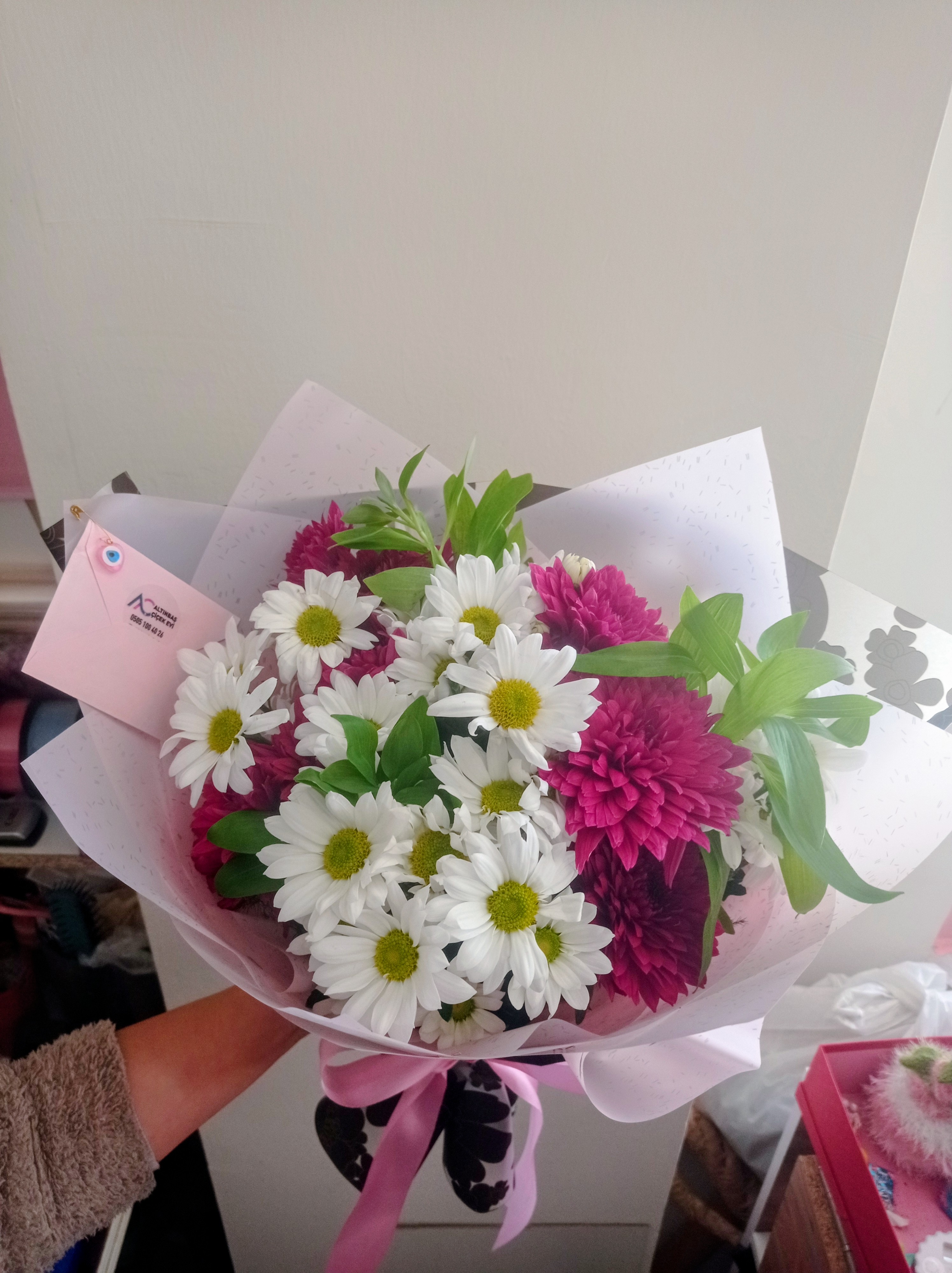 Papatya ve kasımpatı 