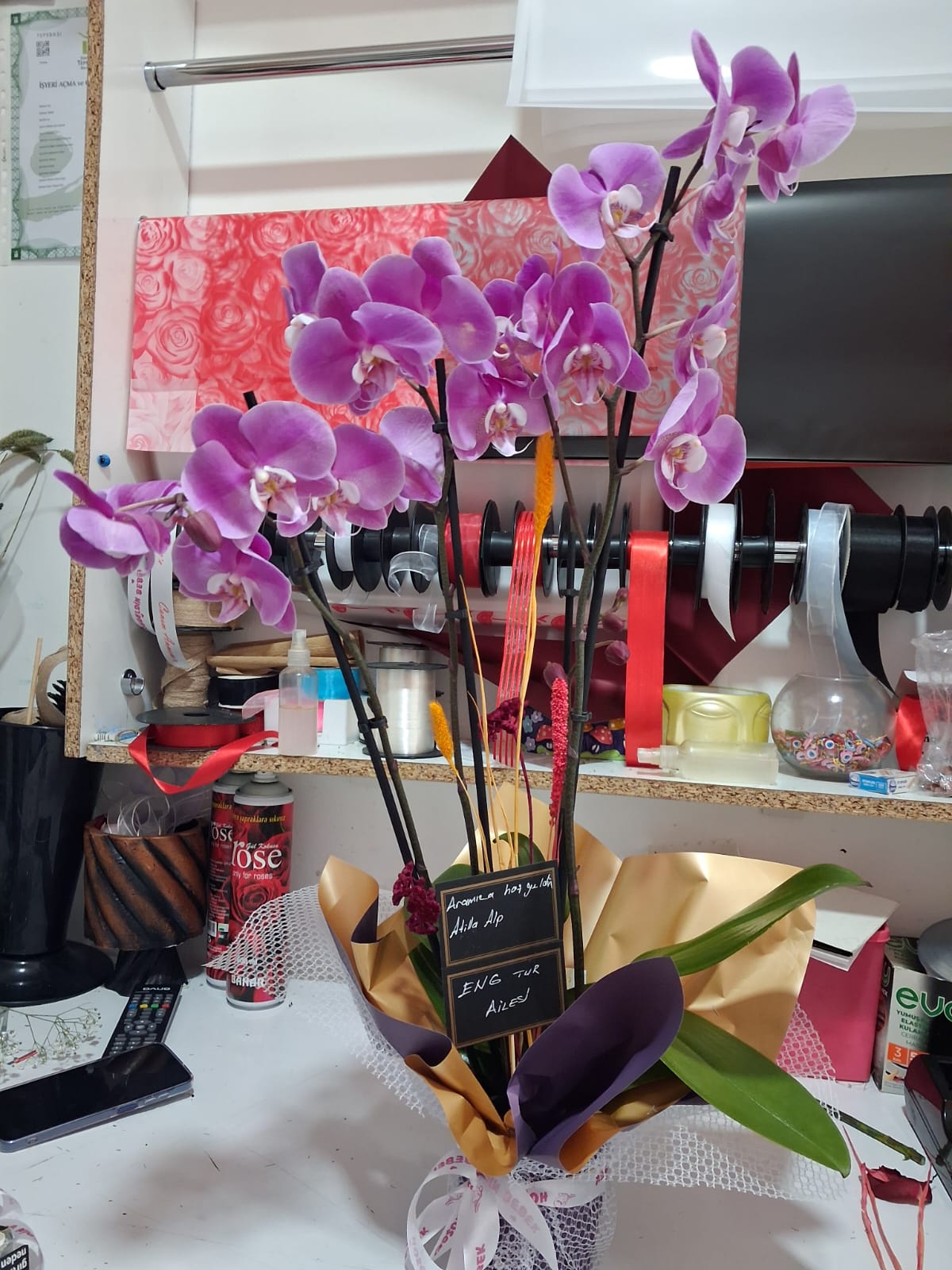 Üç Dal Pembe Orkidem