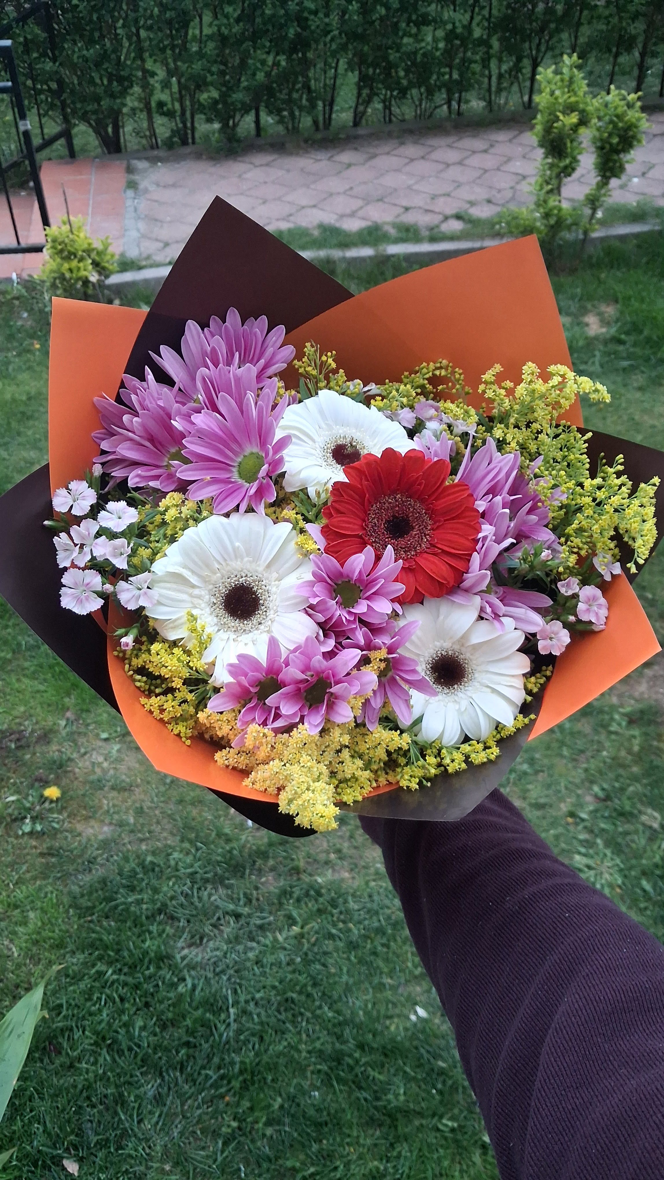 Renkli Papatya ve mini gerbera