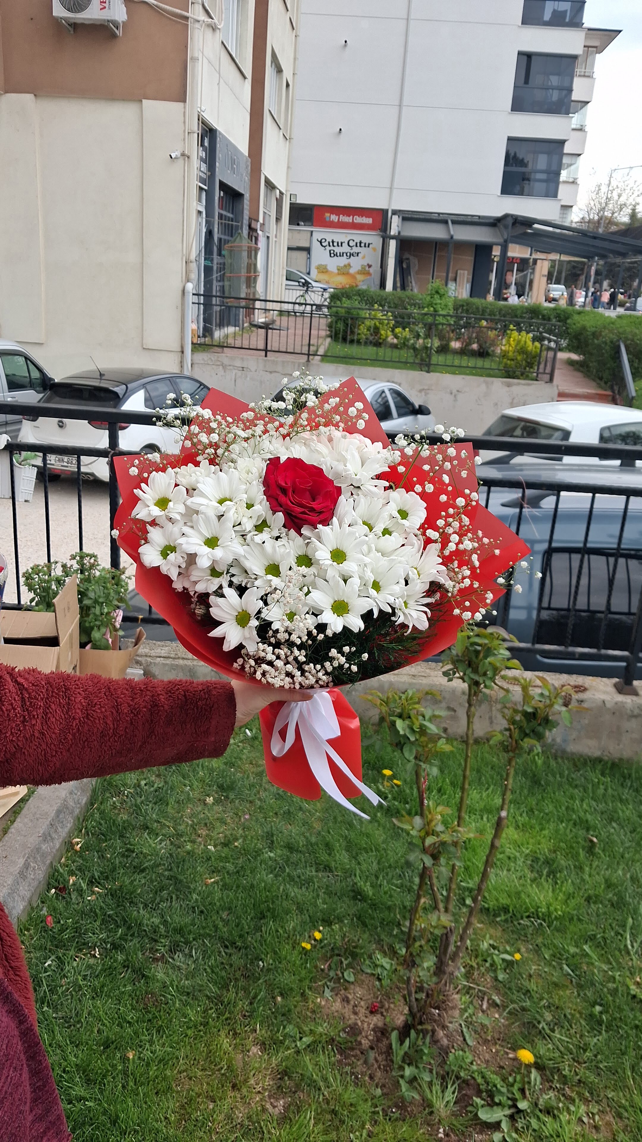 Gül ve papatya 