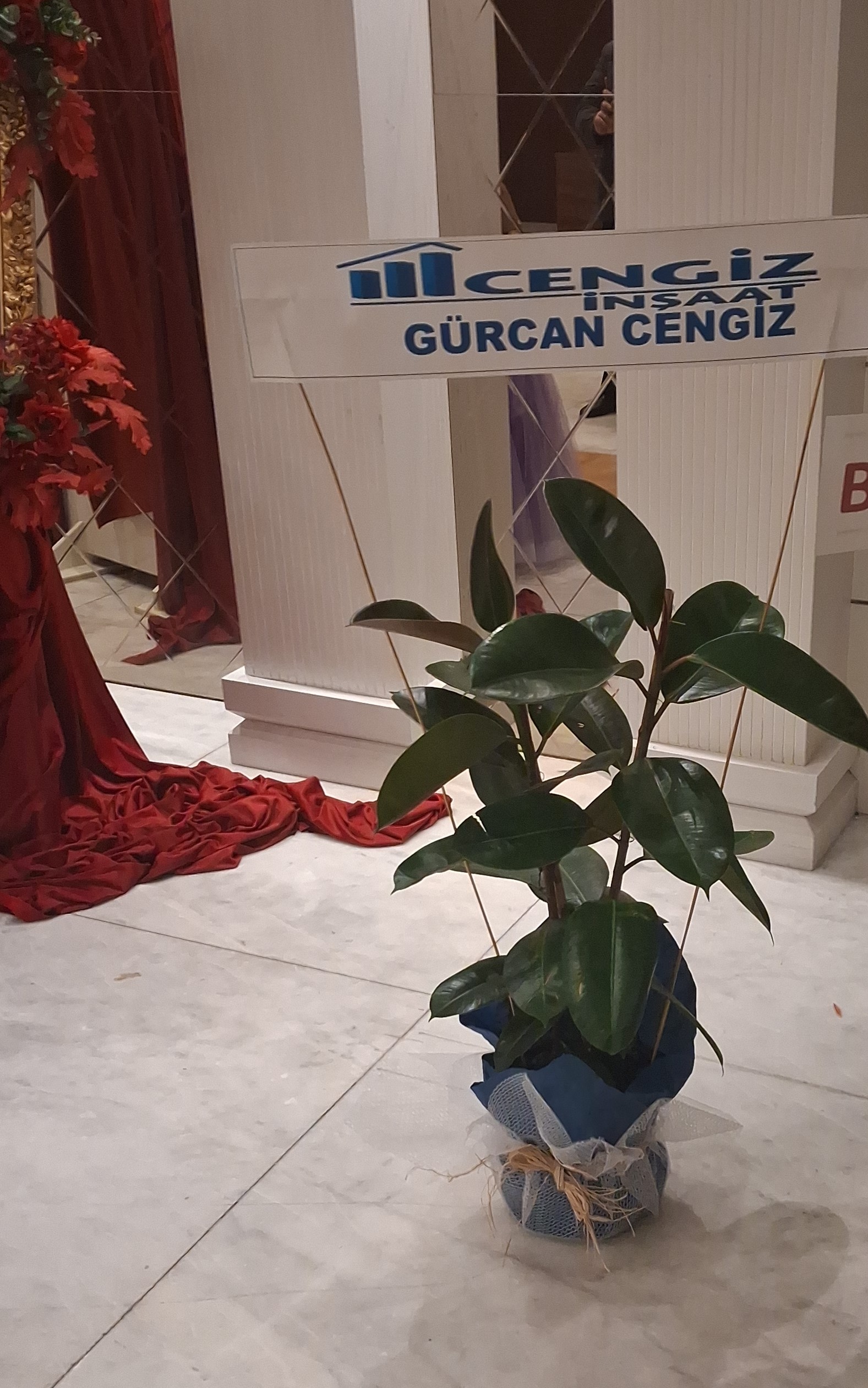Büyükboy çift dal kauçuk