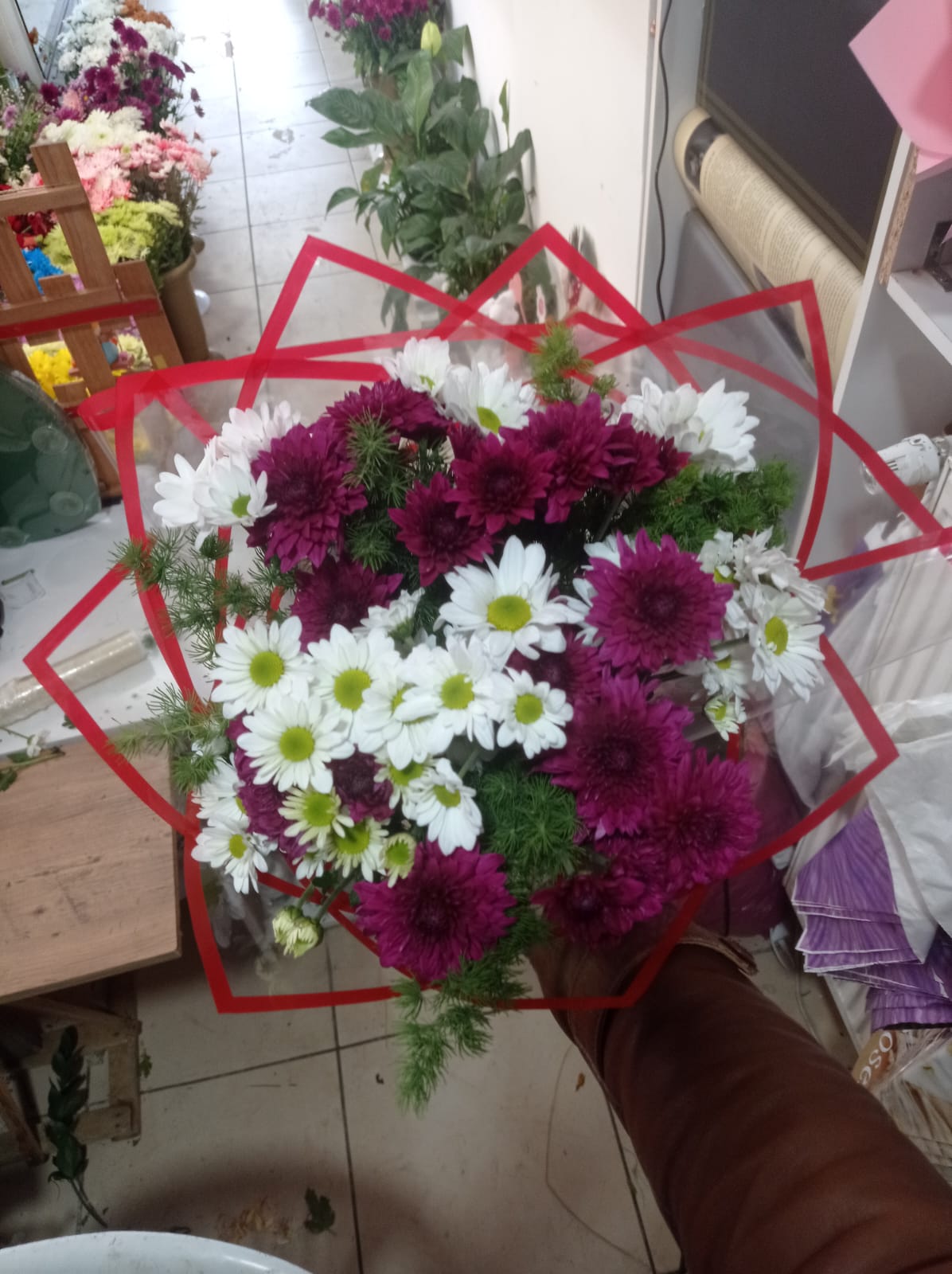 Kasımpatı ve papatya  - Görsel 2