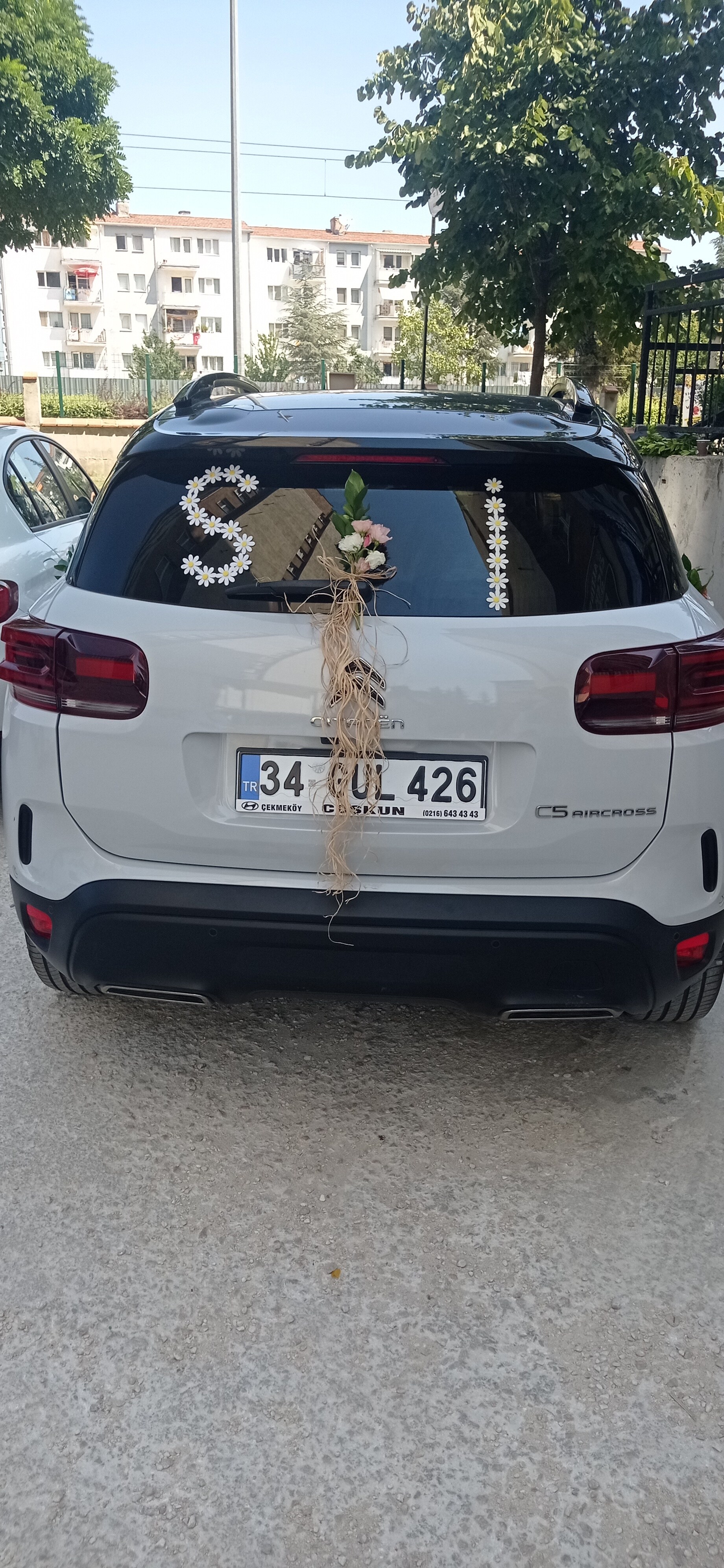 Gelin Arabası Tasarımı - Görsel 4