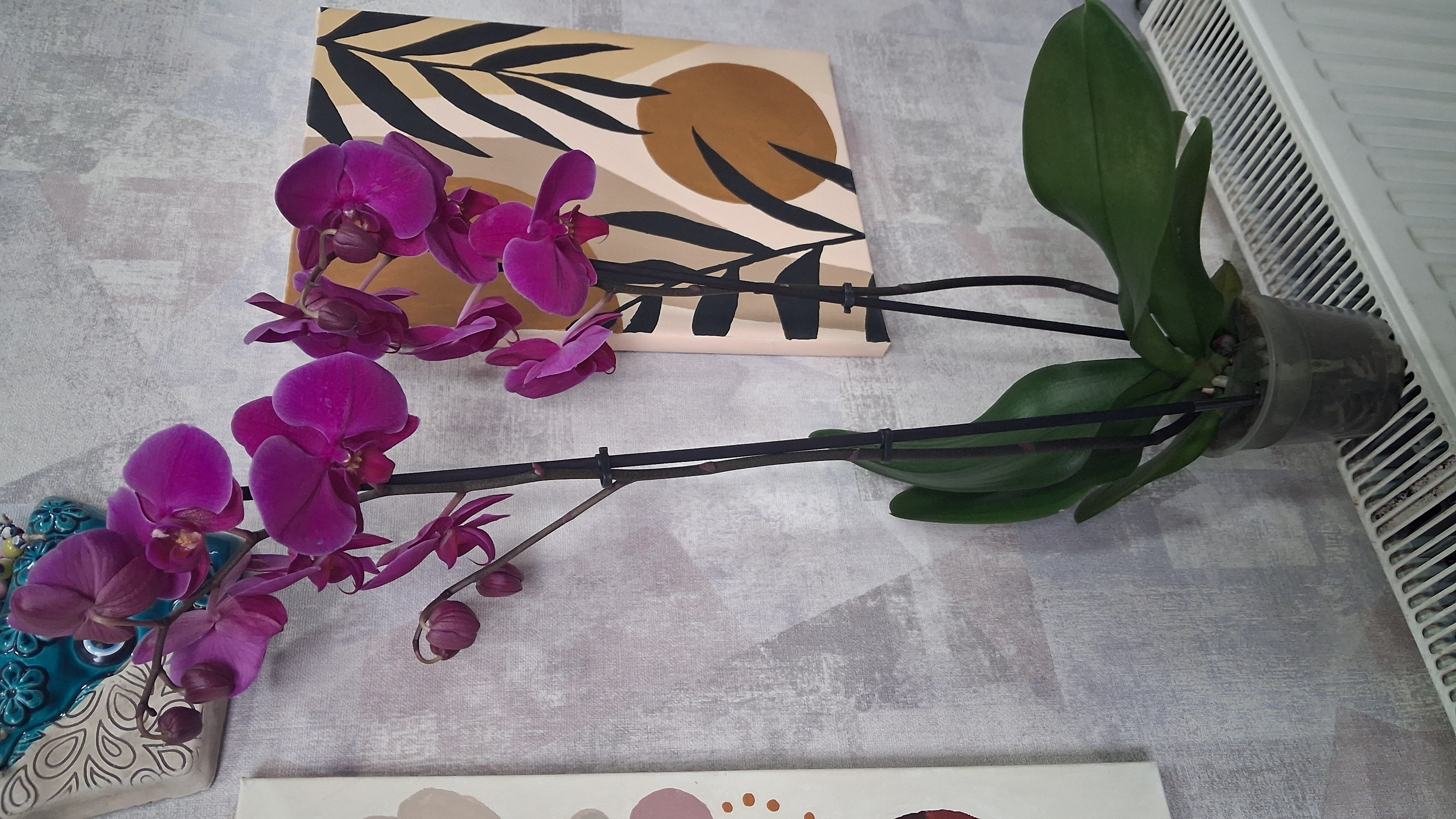 Çift Dal Mor Ordike - Görsel 2