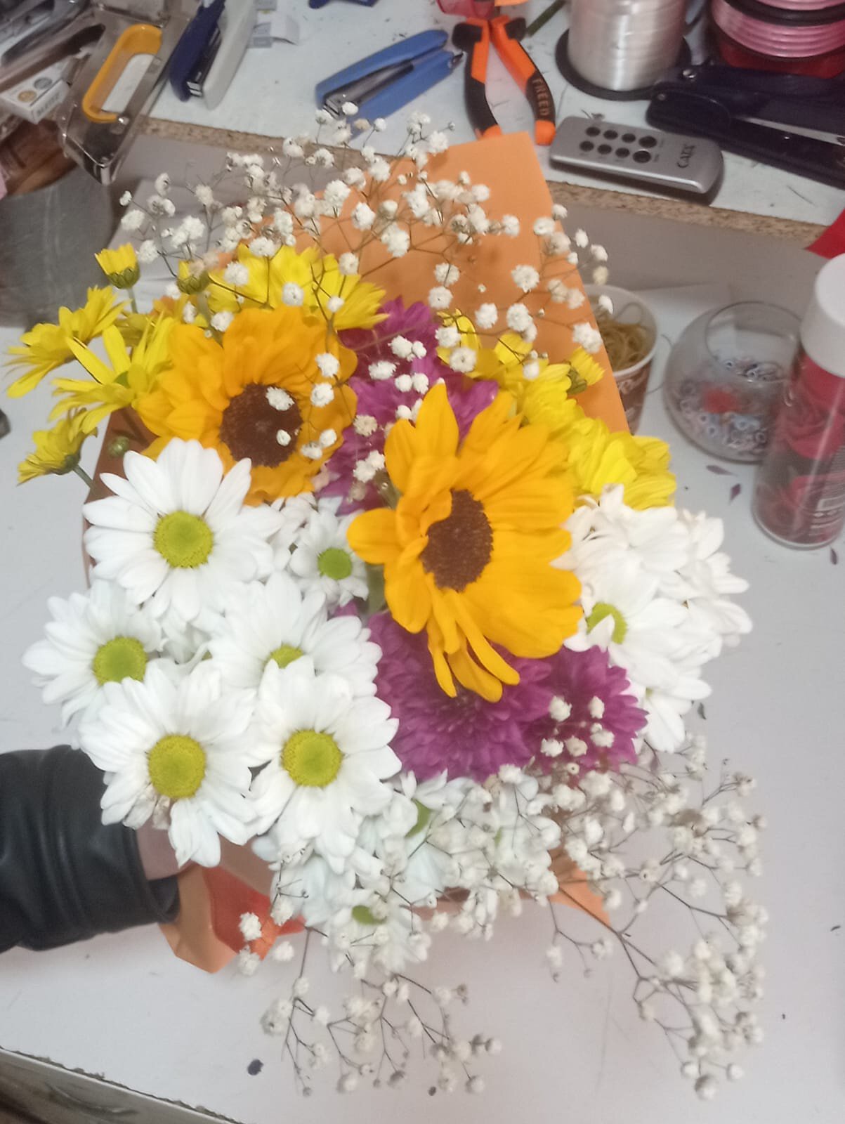 Ayçiçeği ışıltısı - Görsel 2