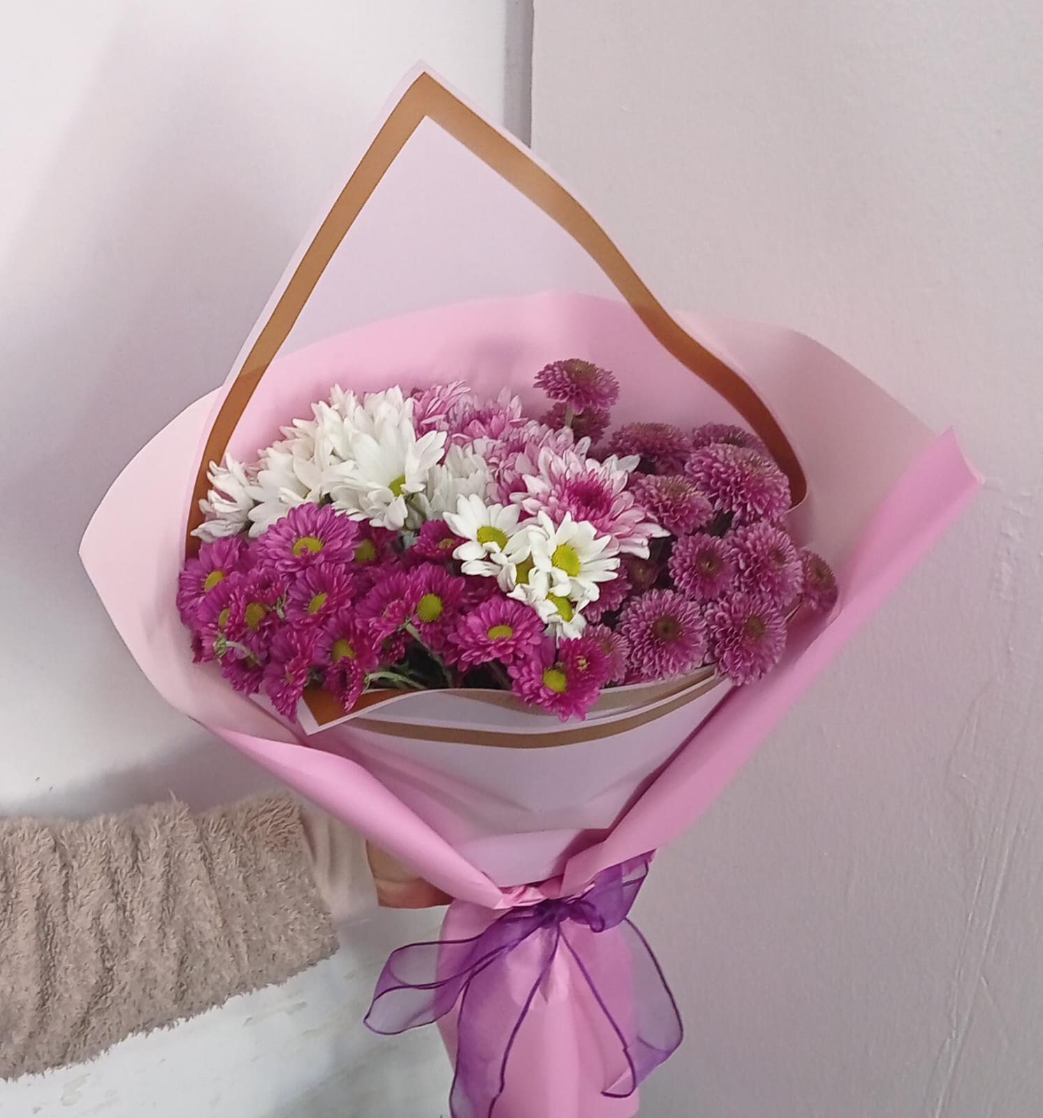 Kasımpatı güzeli - Görsel 2