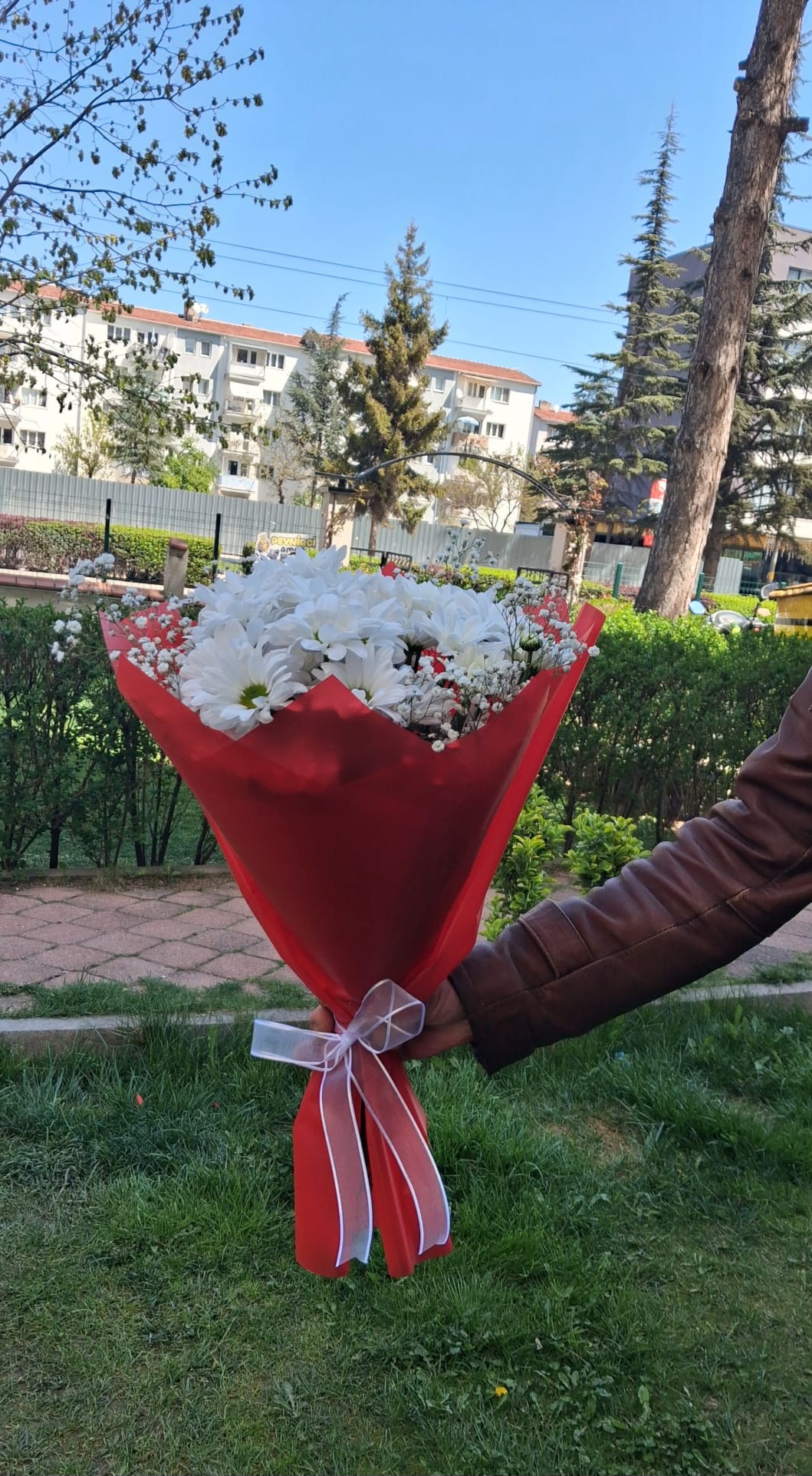 Kar Beyazı - Görsel 2