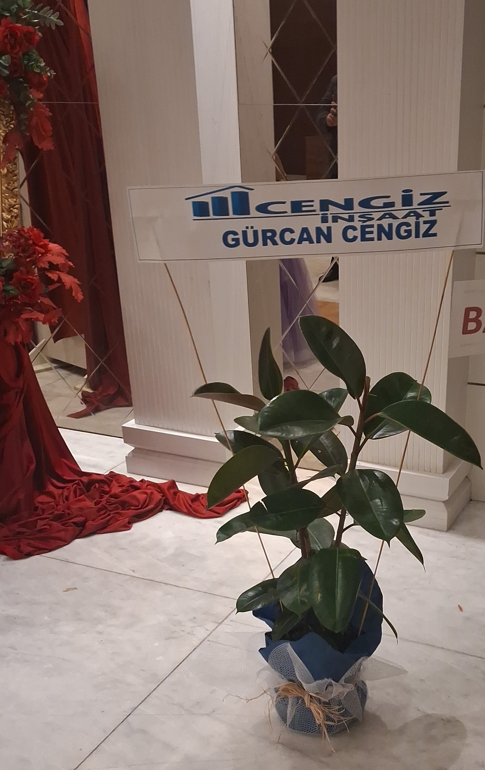 Büyükboy çift dal kauçuk - Görsel 2